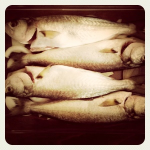 20121103-071129 PM.jpg